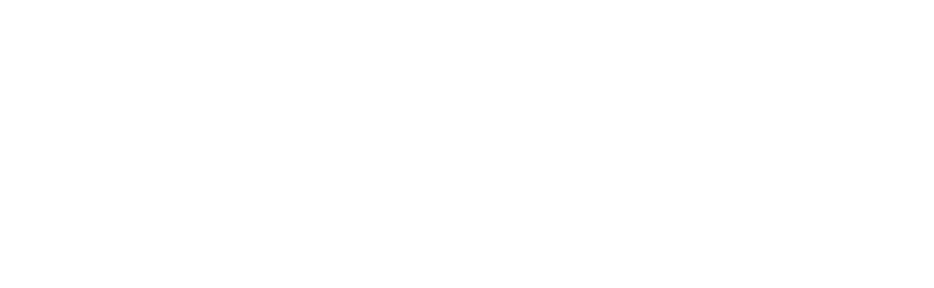 white-2560px-Boehringer_Ingelheim_Logo.svg